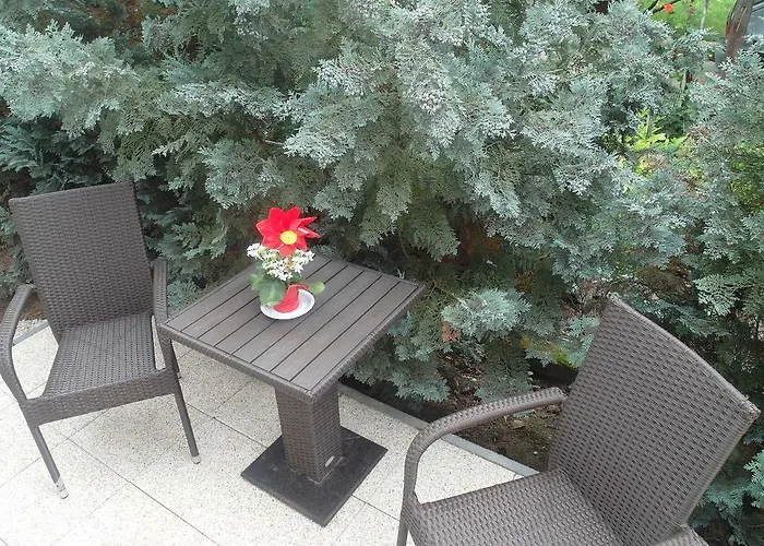 公寓 Tip-top Apartmenthouse 巴拉顿菲赖德